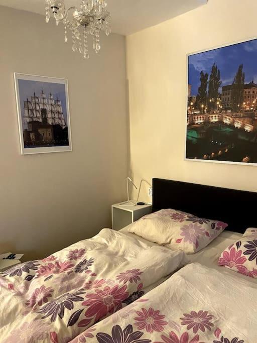 Mai Preisreduktion Rock - Self Check-in Apartment *